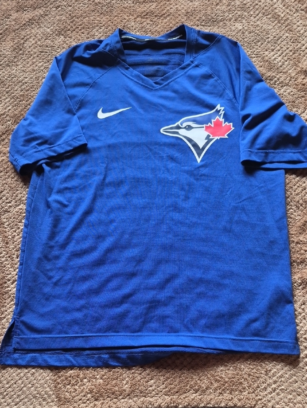 Nike Royal Blue Toronto Blue Jays Hot Pullover Tee with White Swoosh